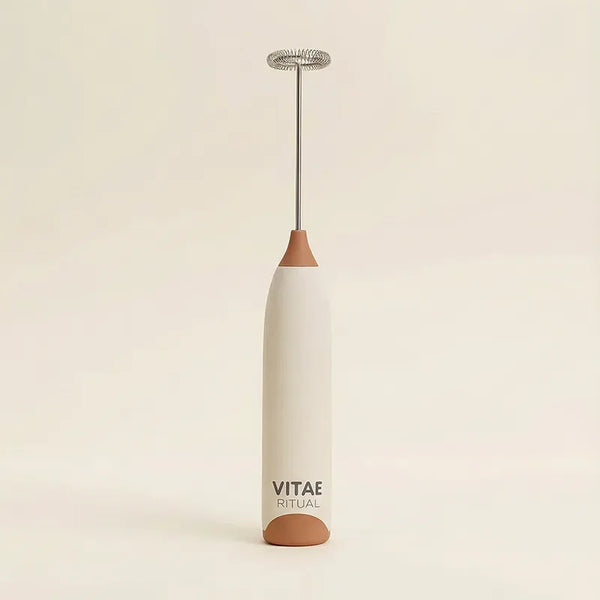 Fouet Rechargeable